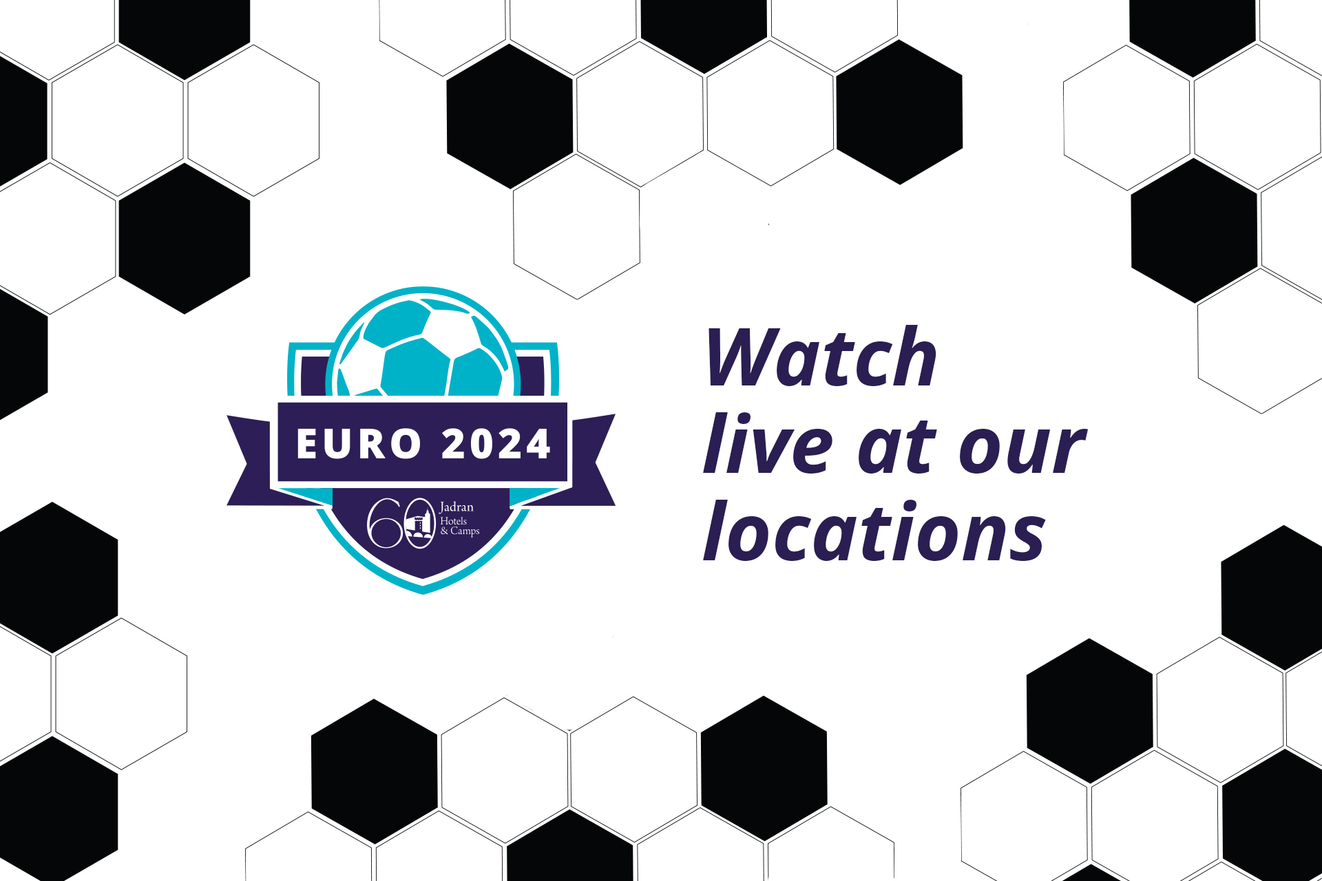 We invite you to join us for watching the EURO 2024 matches together!
